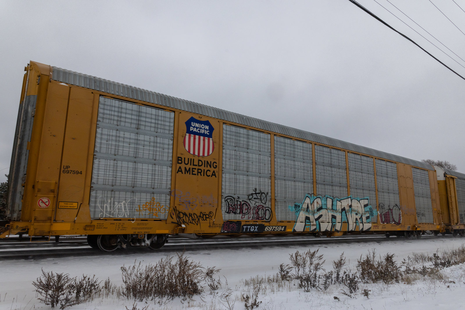 TTGX 697594