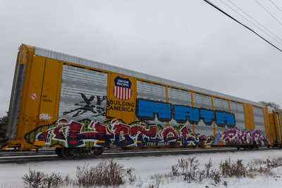 TTGX 699221