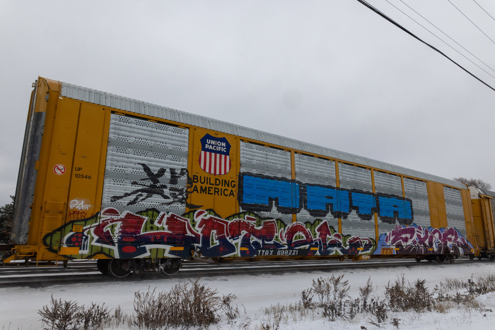 TTGX 699221