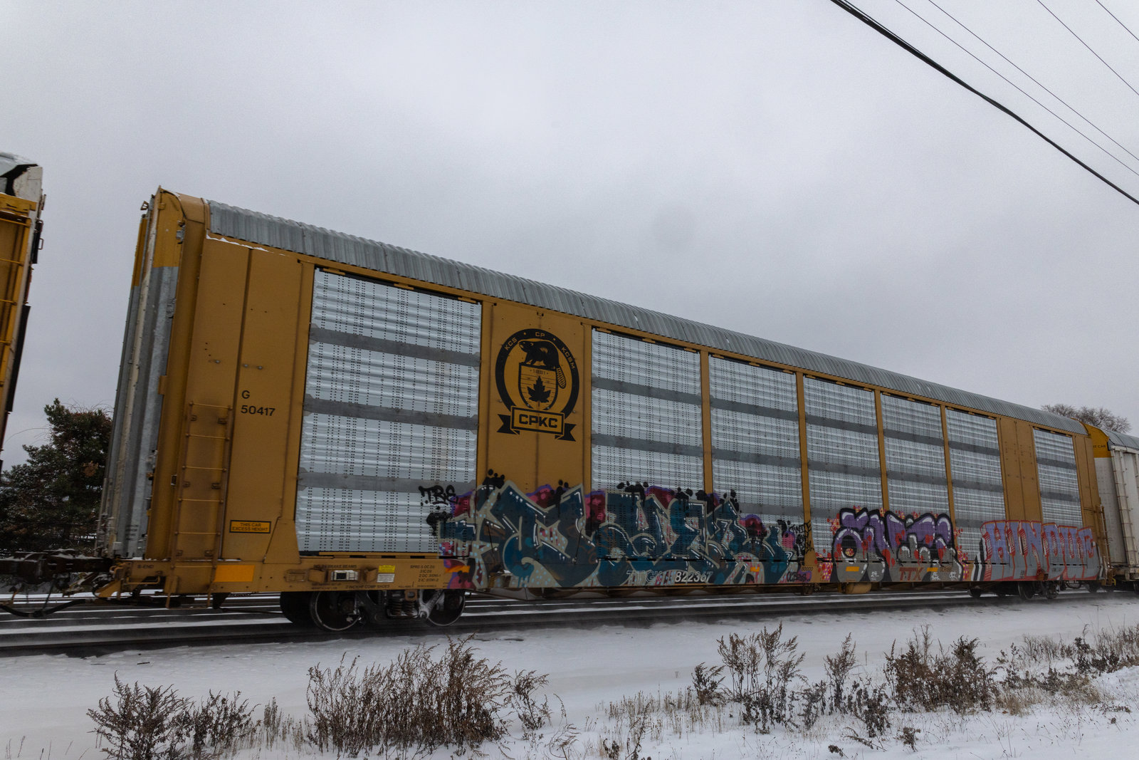 TTGX 822367