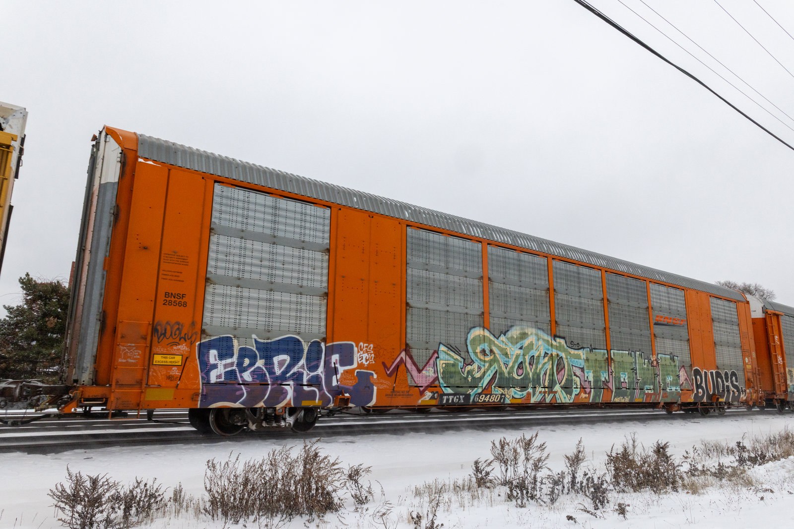 TTGX 694807