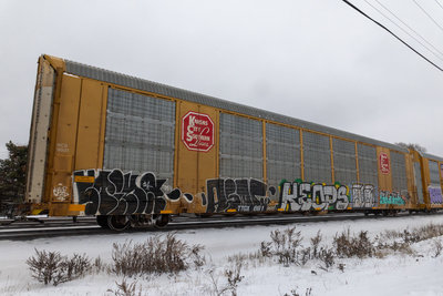 TTGX 691905