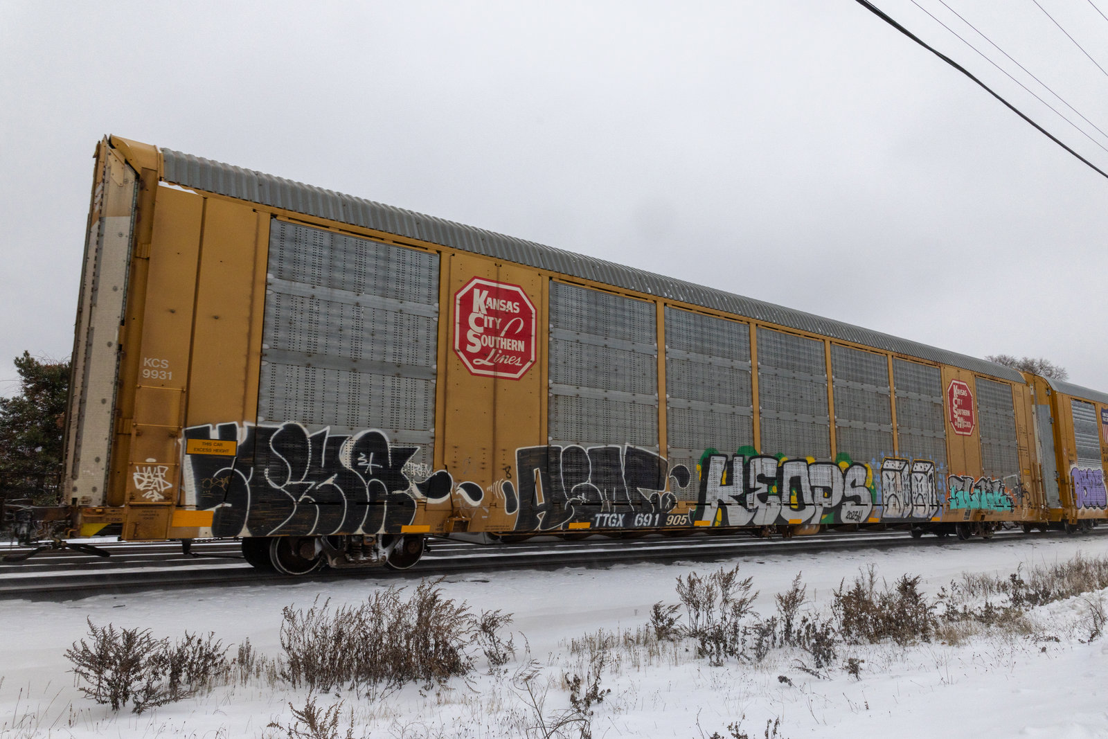 TTGX 691905