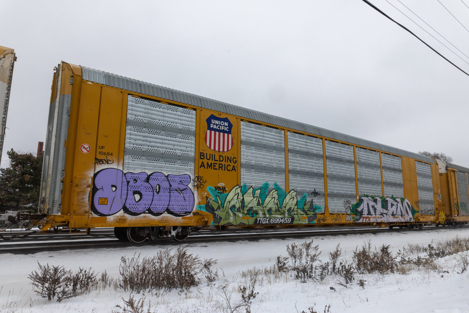 TTGX 699459