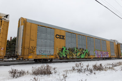 TTGX 699725