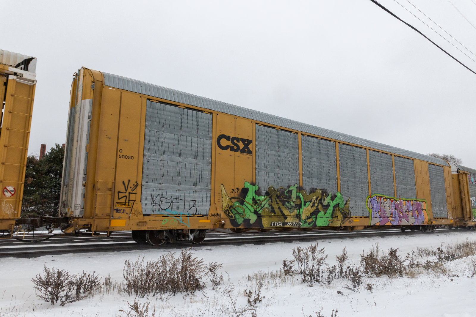 TTGX 699725