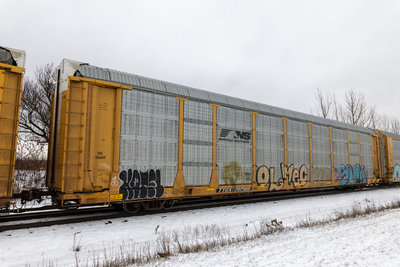 TTGX 707565