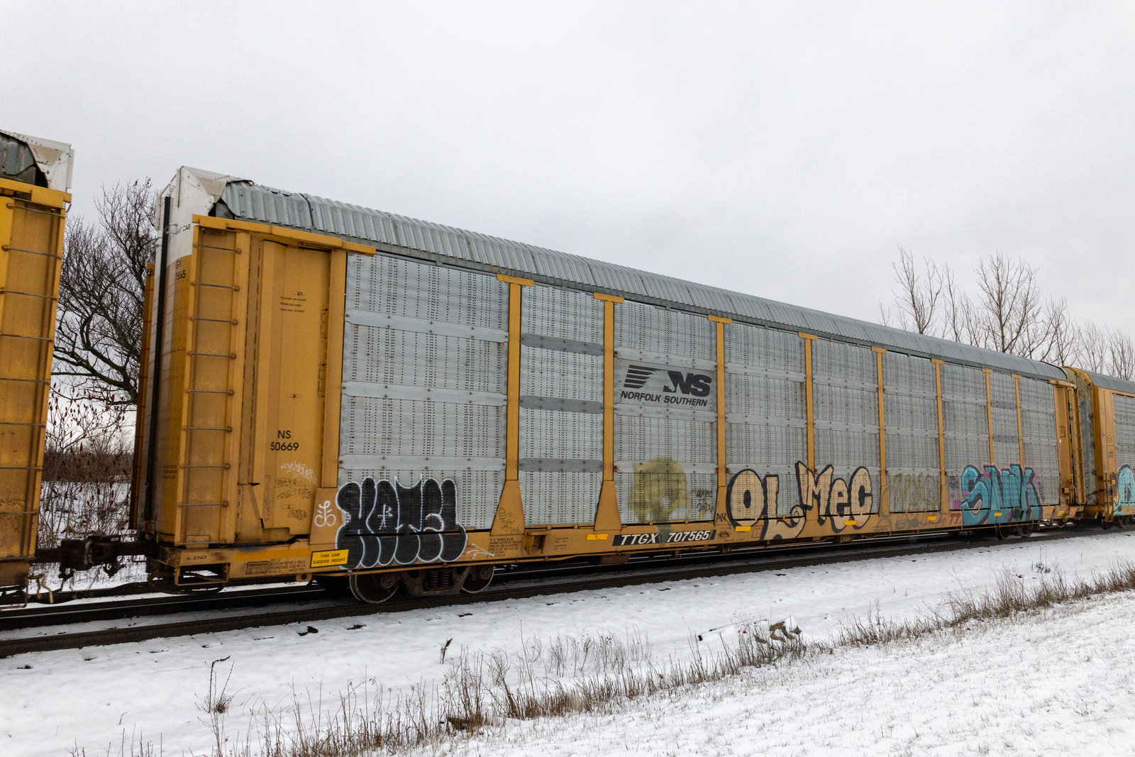 TTGX 707565