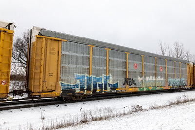 TTGX 705113