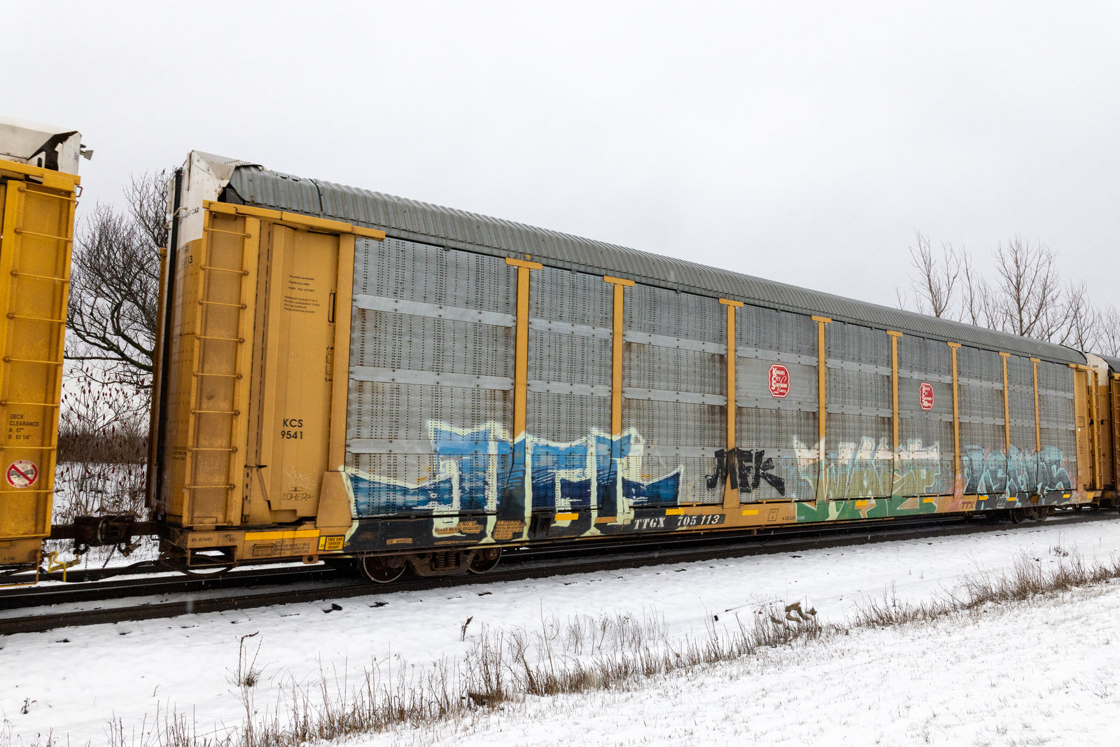 TTGX 705113