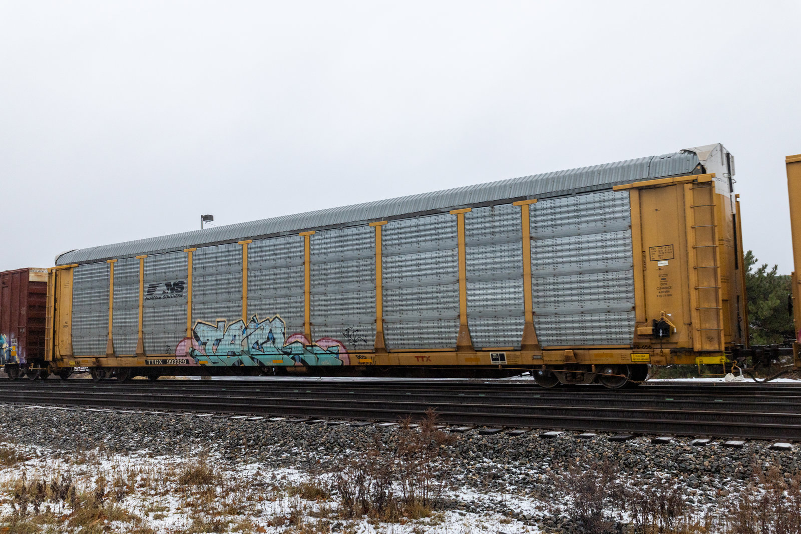 TTGX 993329