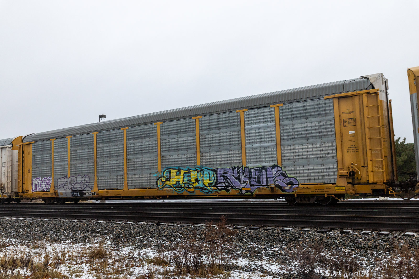 TTGX 702071