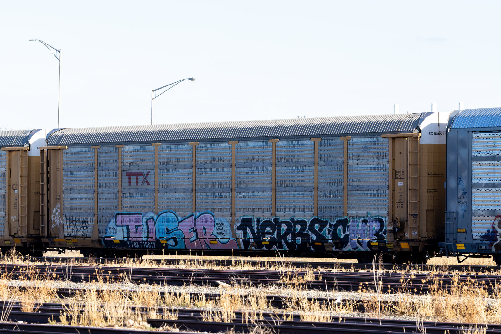 TTGX 710917