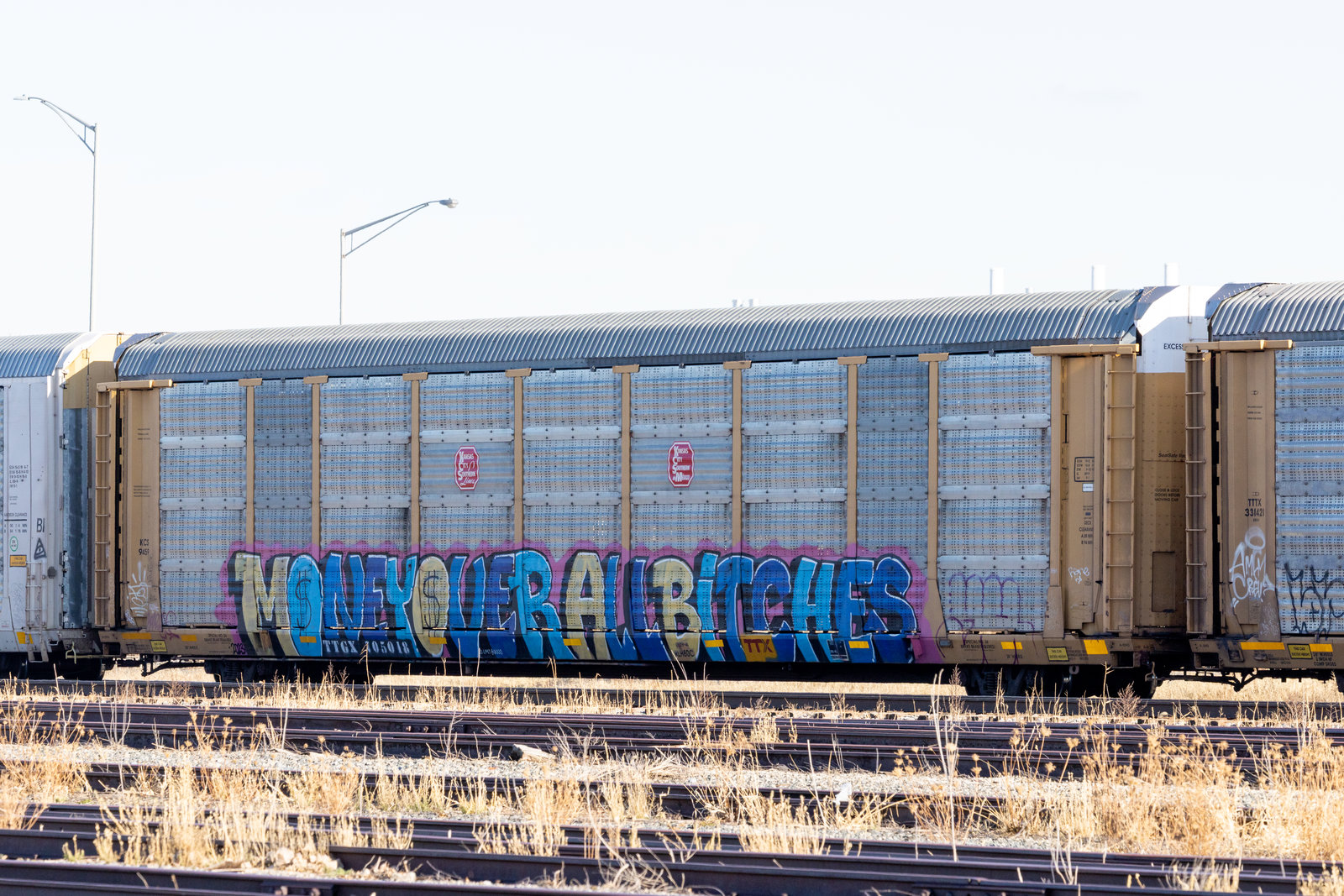 TTGX 705018