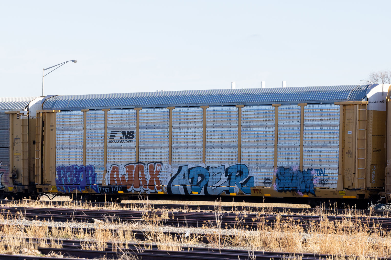 TTGX 711717