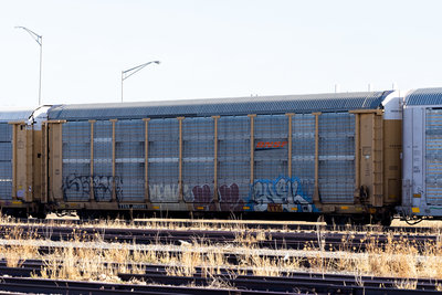 TTGX 965391
