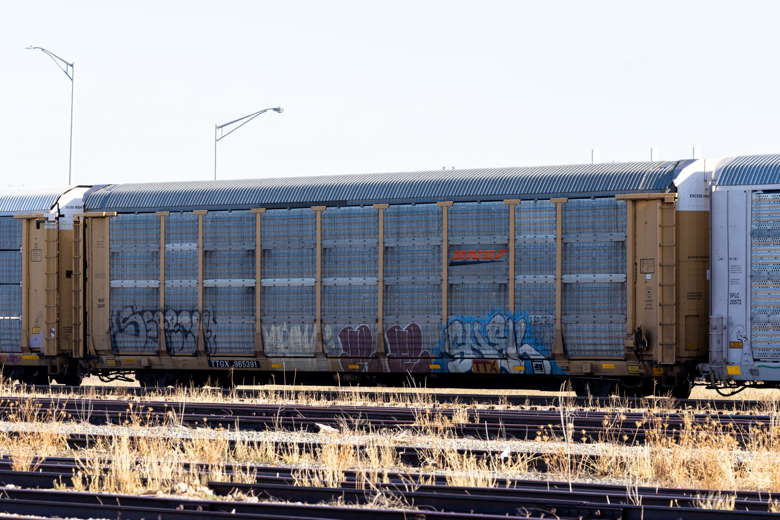 TTGX 965391