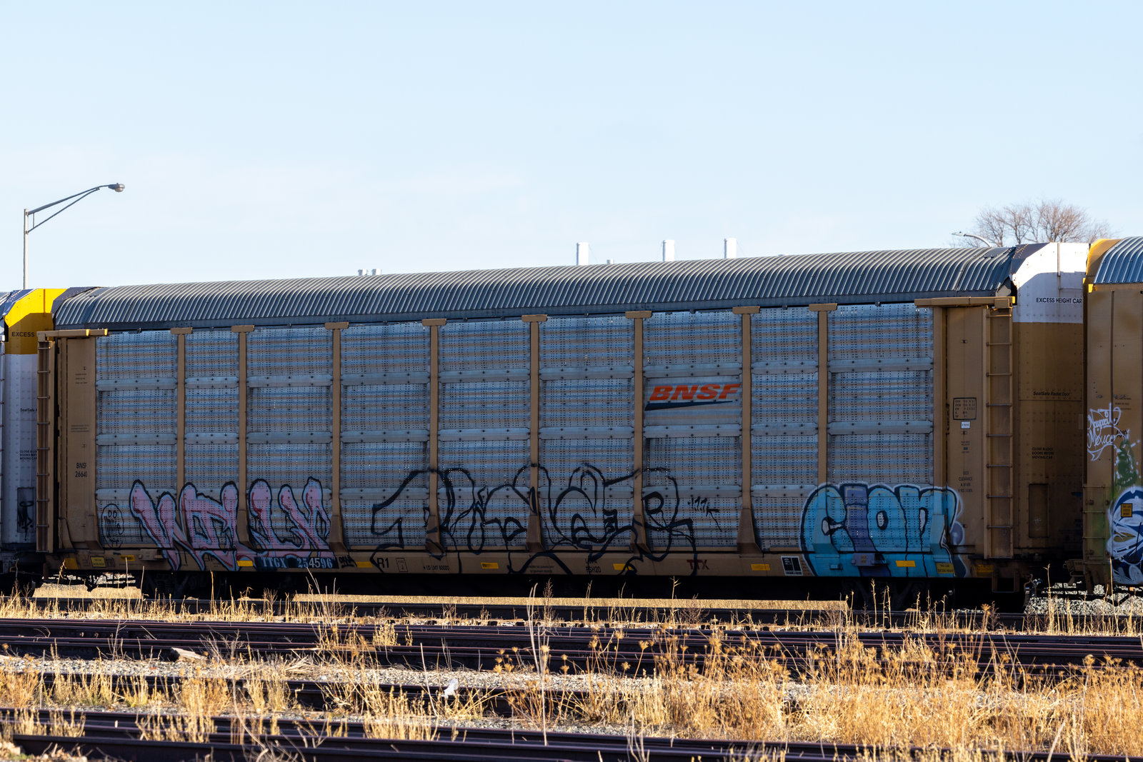 TTGX 254596