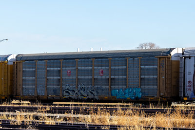 TTGX 704969