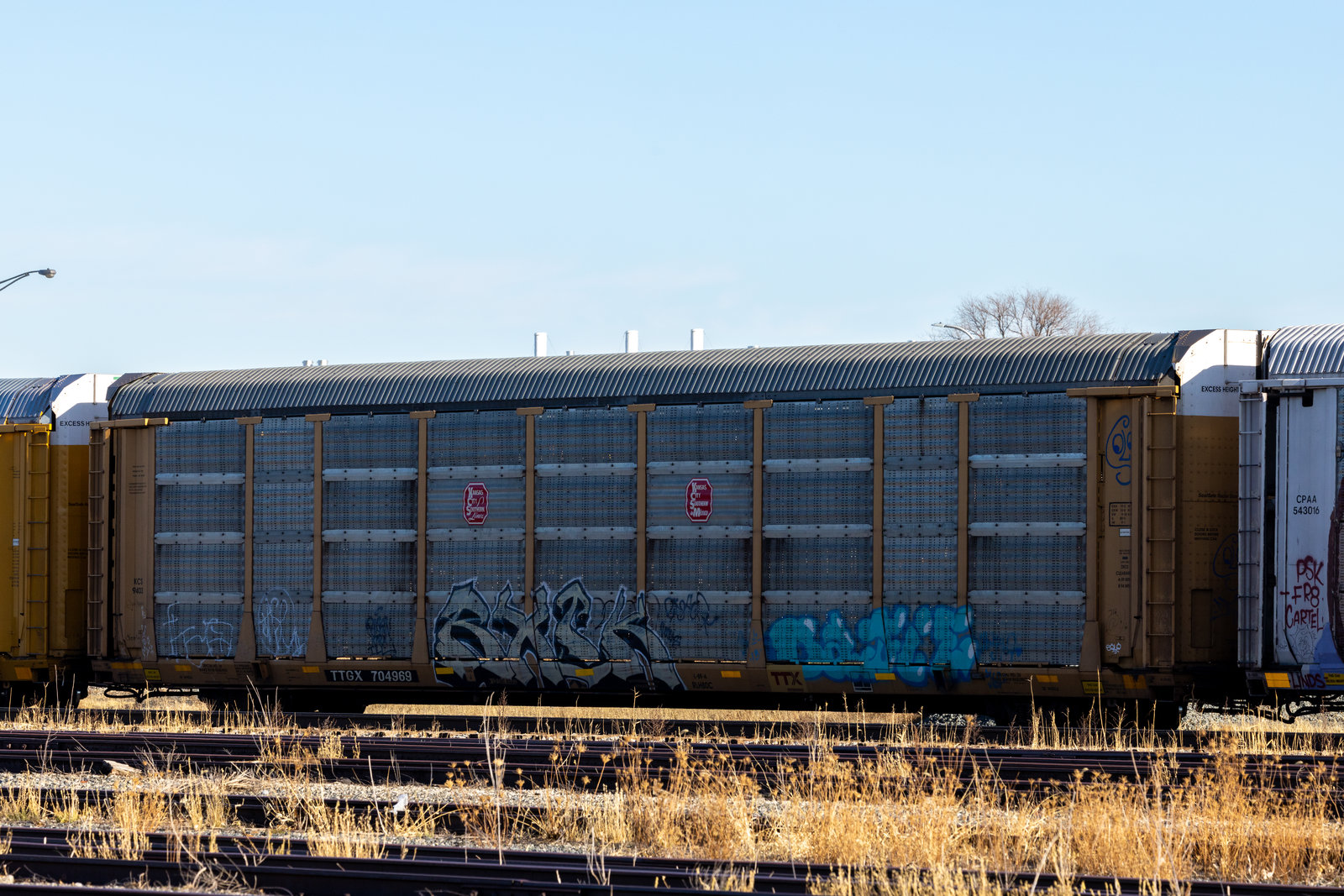 TTGX 704969