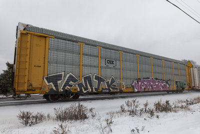 TTGX 953636