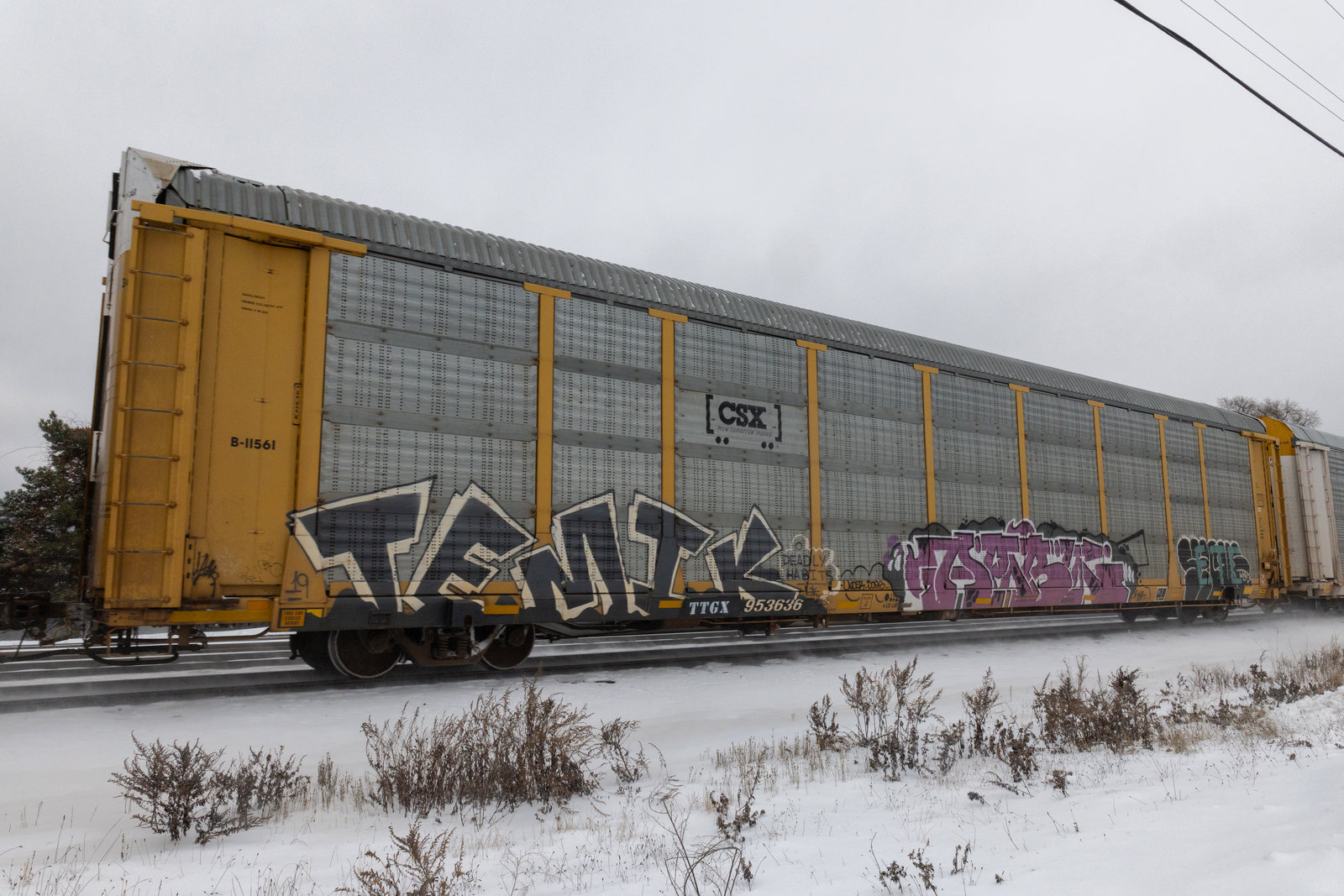 TTGX 953636