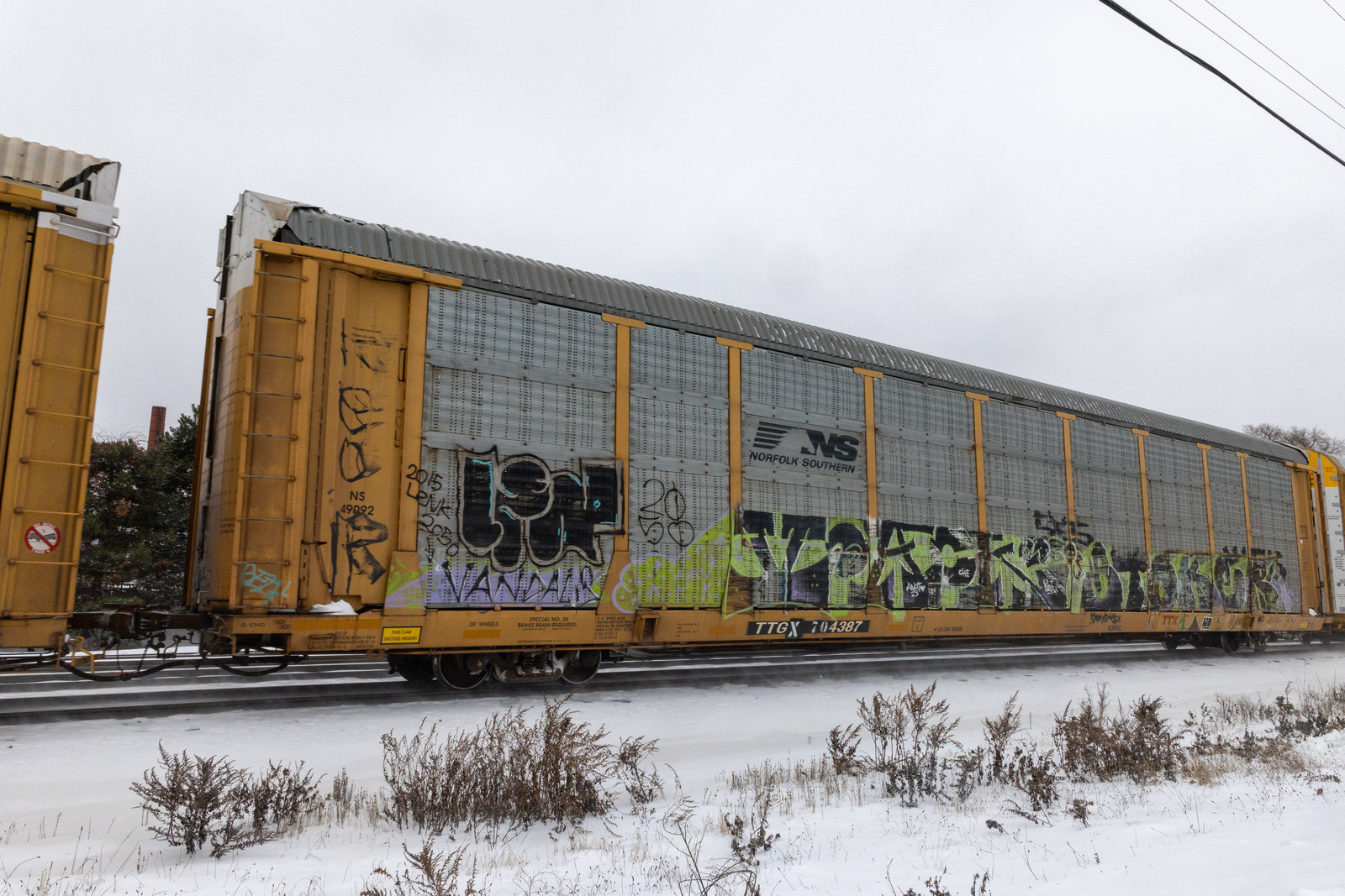 TTGX 704387