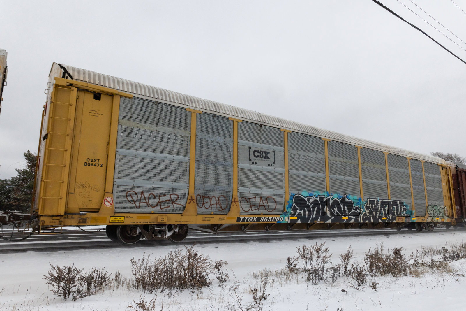 TTGX 965288
