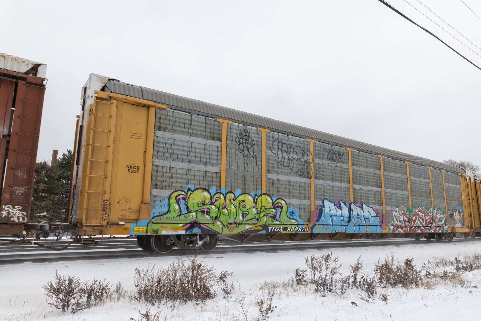 TTGX 982970