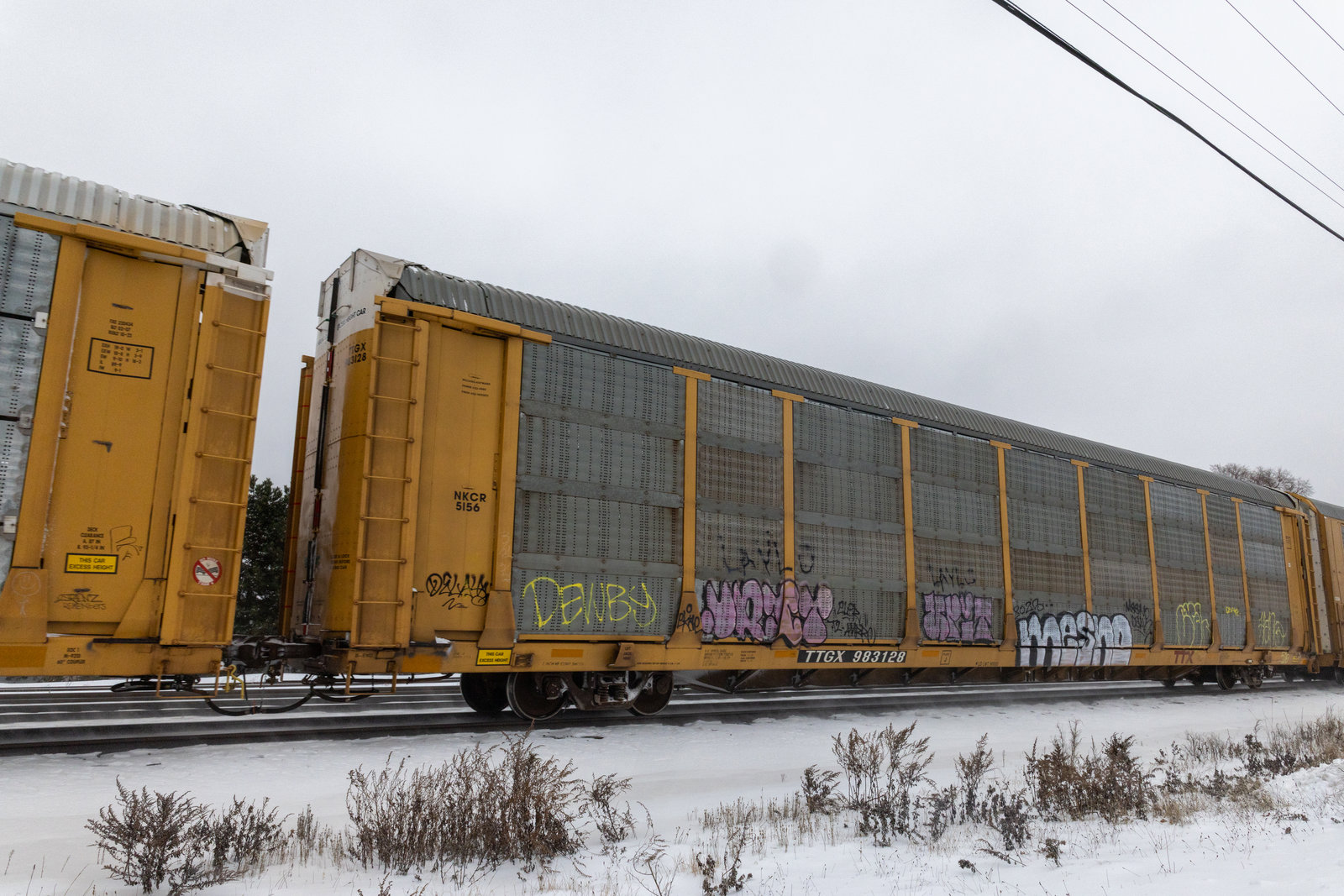 TTGX 983128