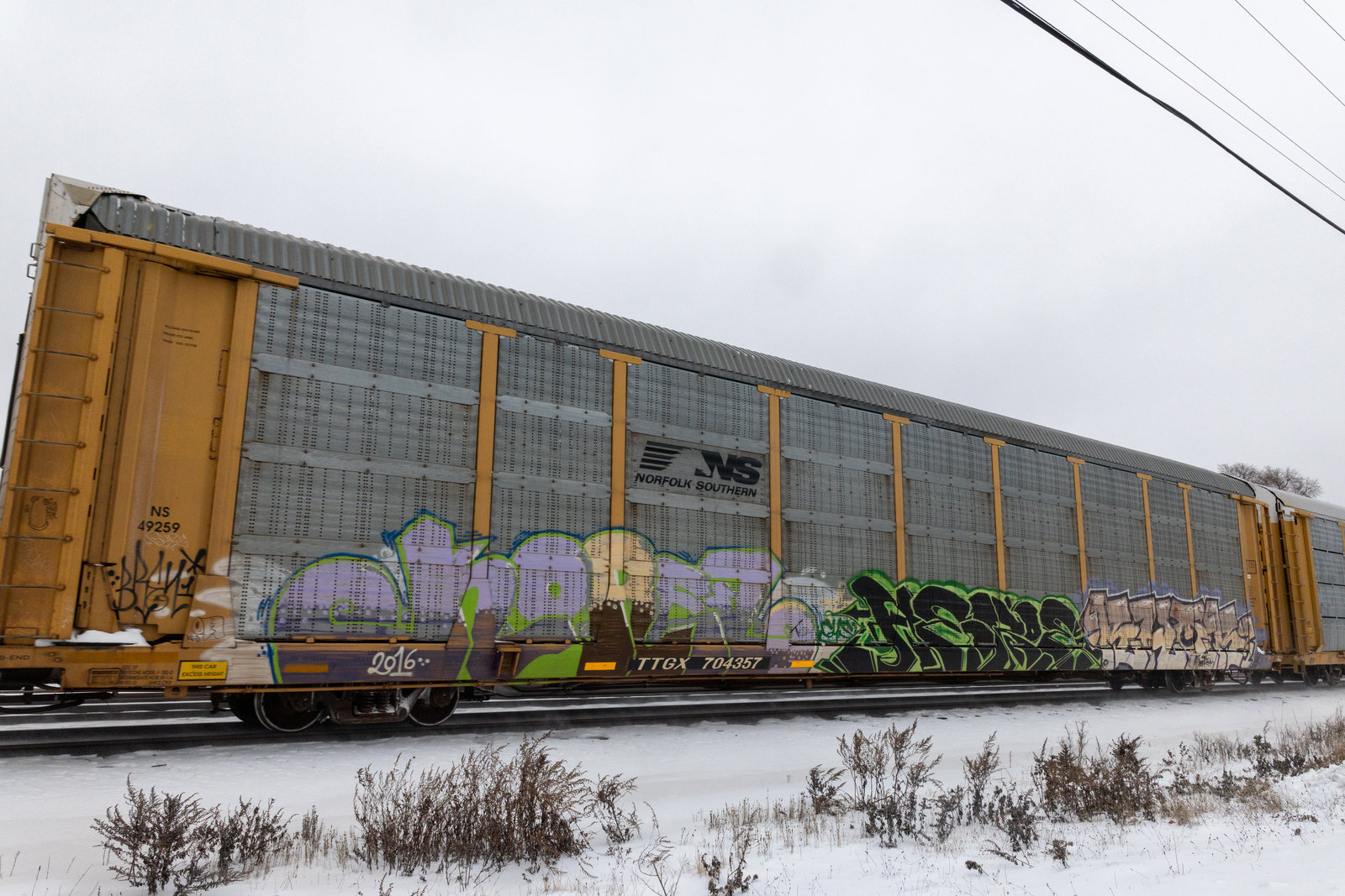 TTGX 704357