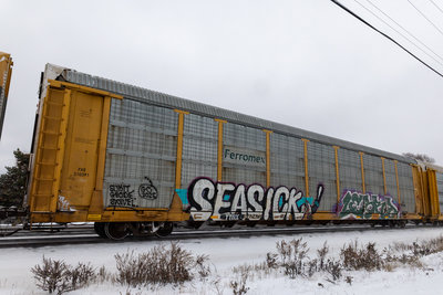 TTGX 942479