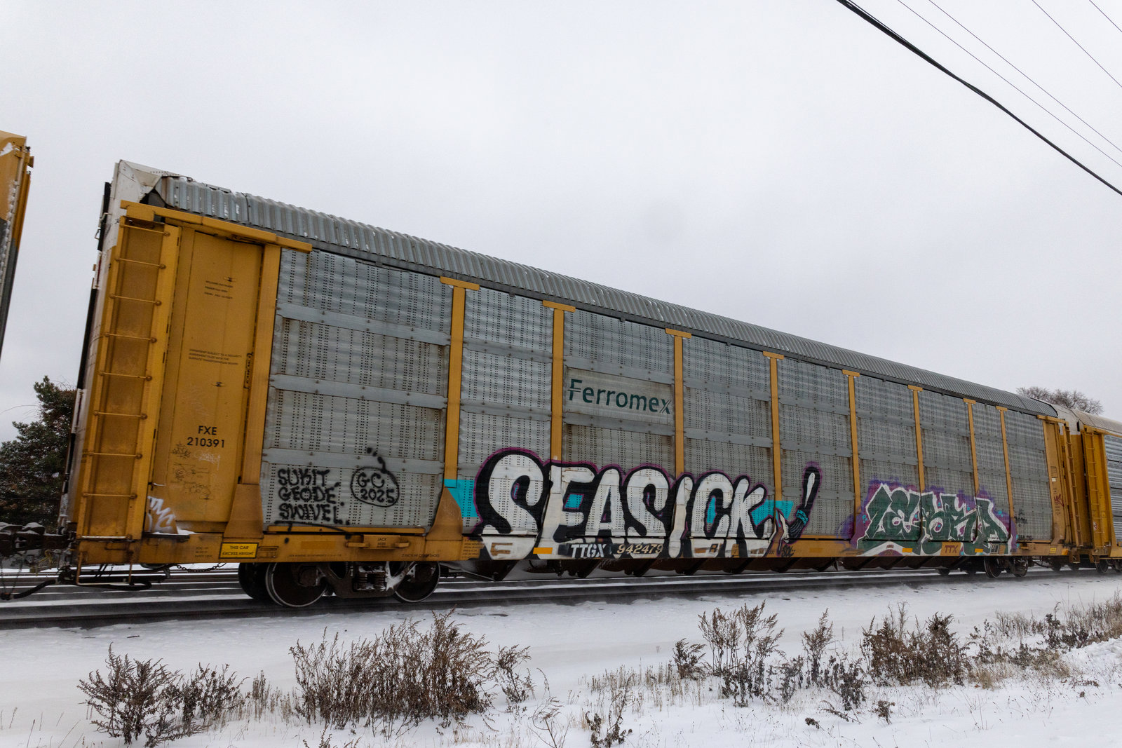 TTGX 942479