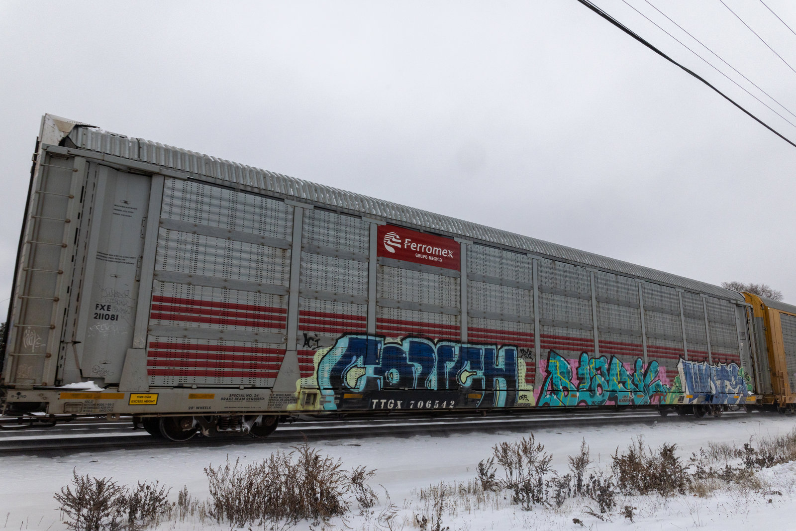 TTGX 706542