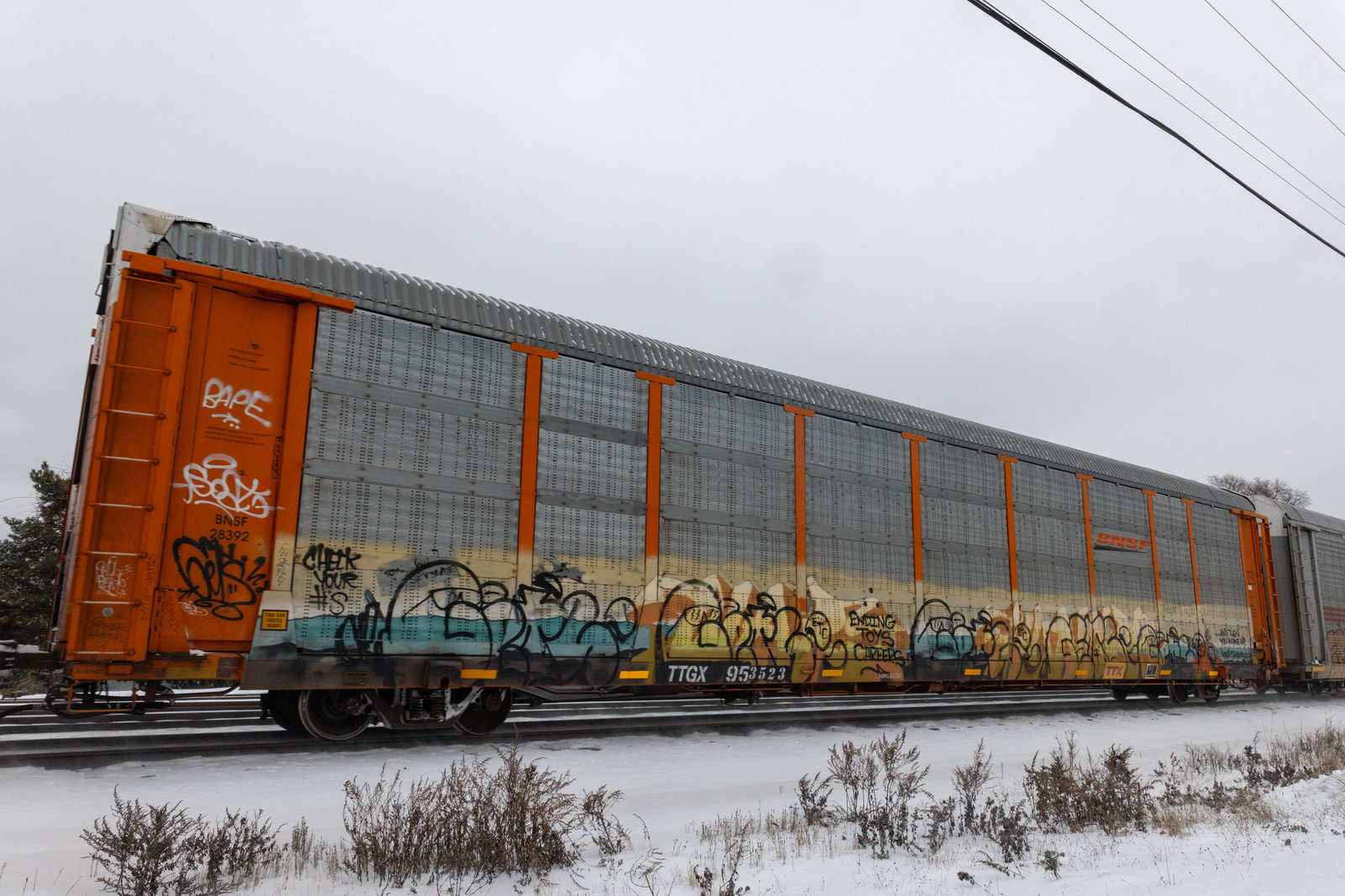 TTGX 953523