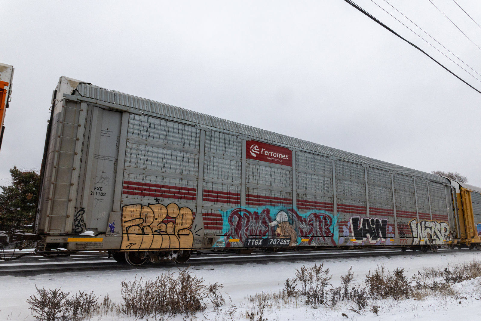TTGX 707285