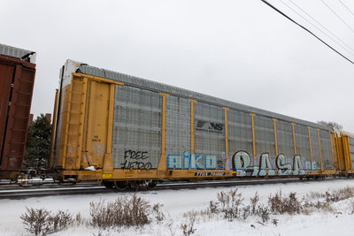 TTGX 704892