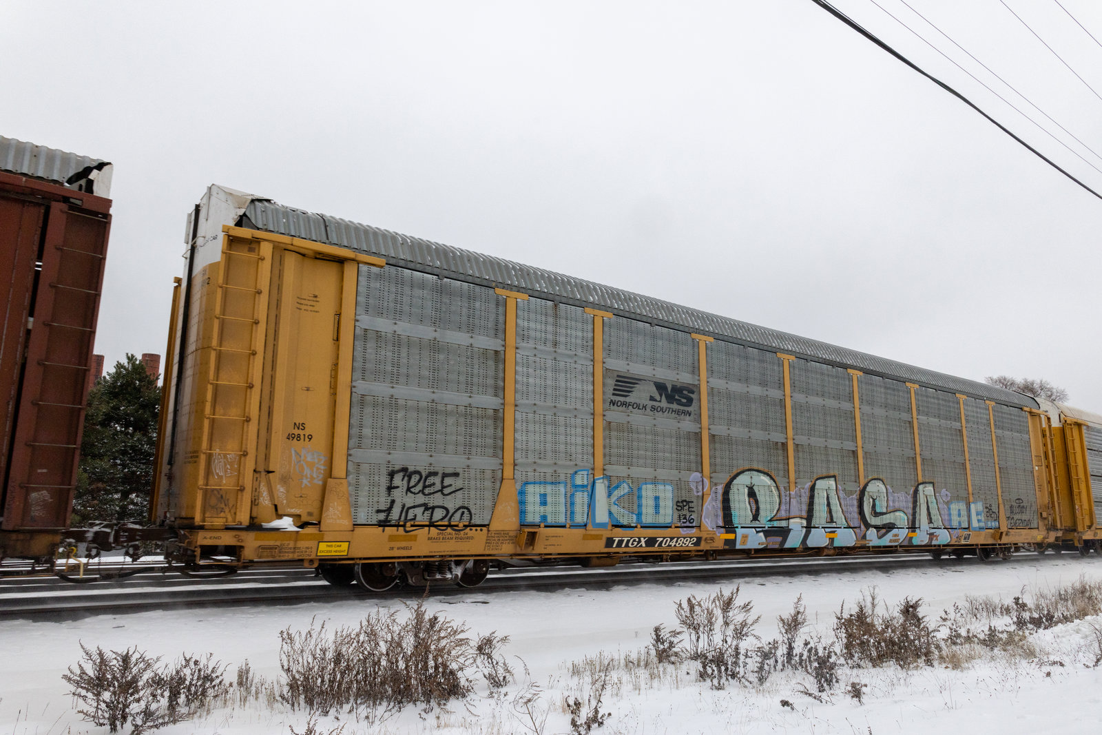 TTGX 704892