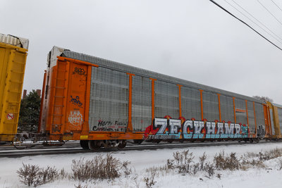 TTGX 255538