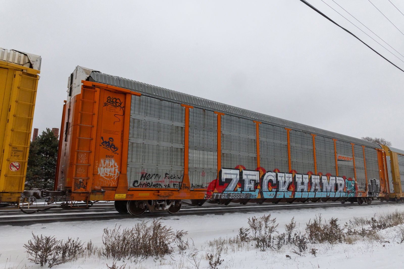 TTGX 255538