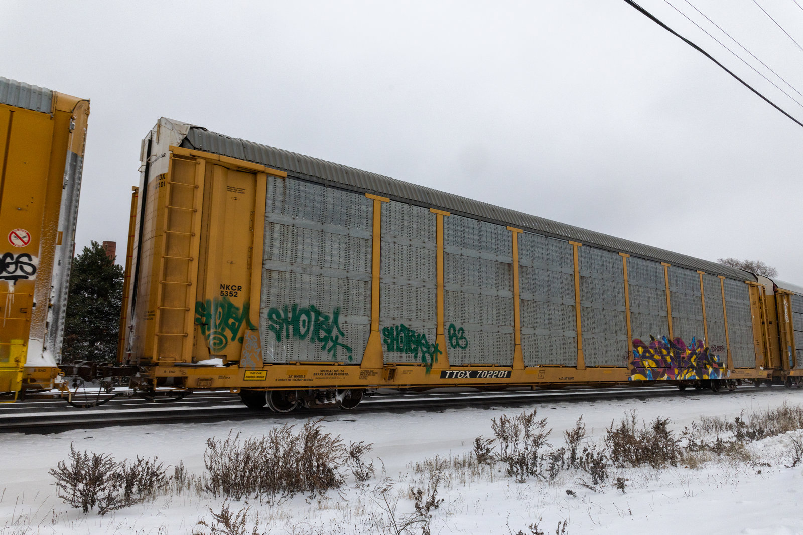 TTGX 702201