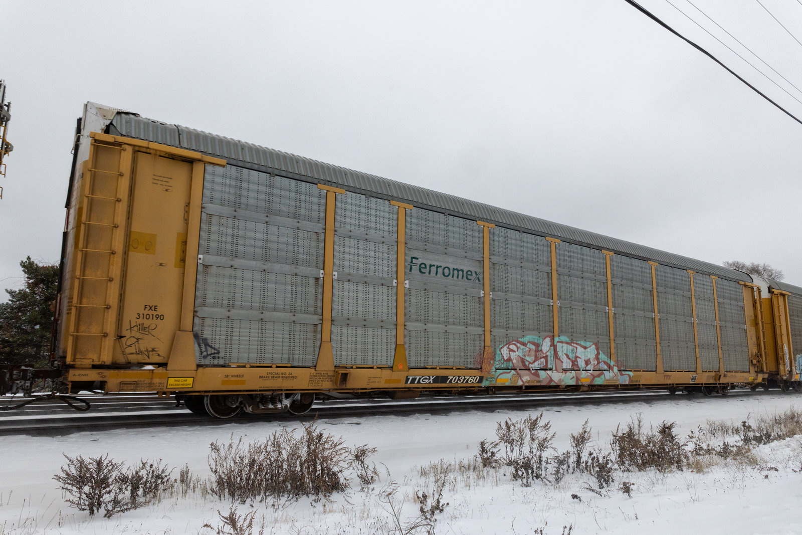 TTGX 703760