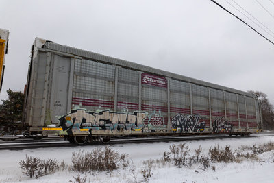 TTGX 705475