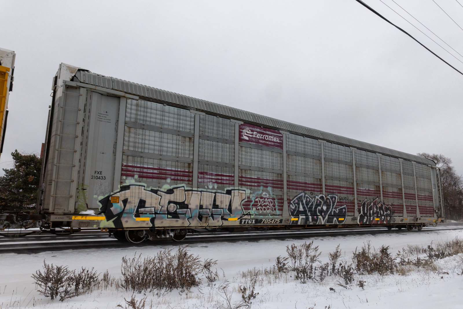 TTGX 705475