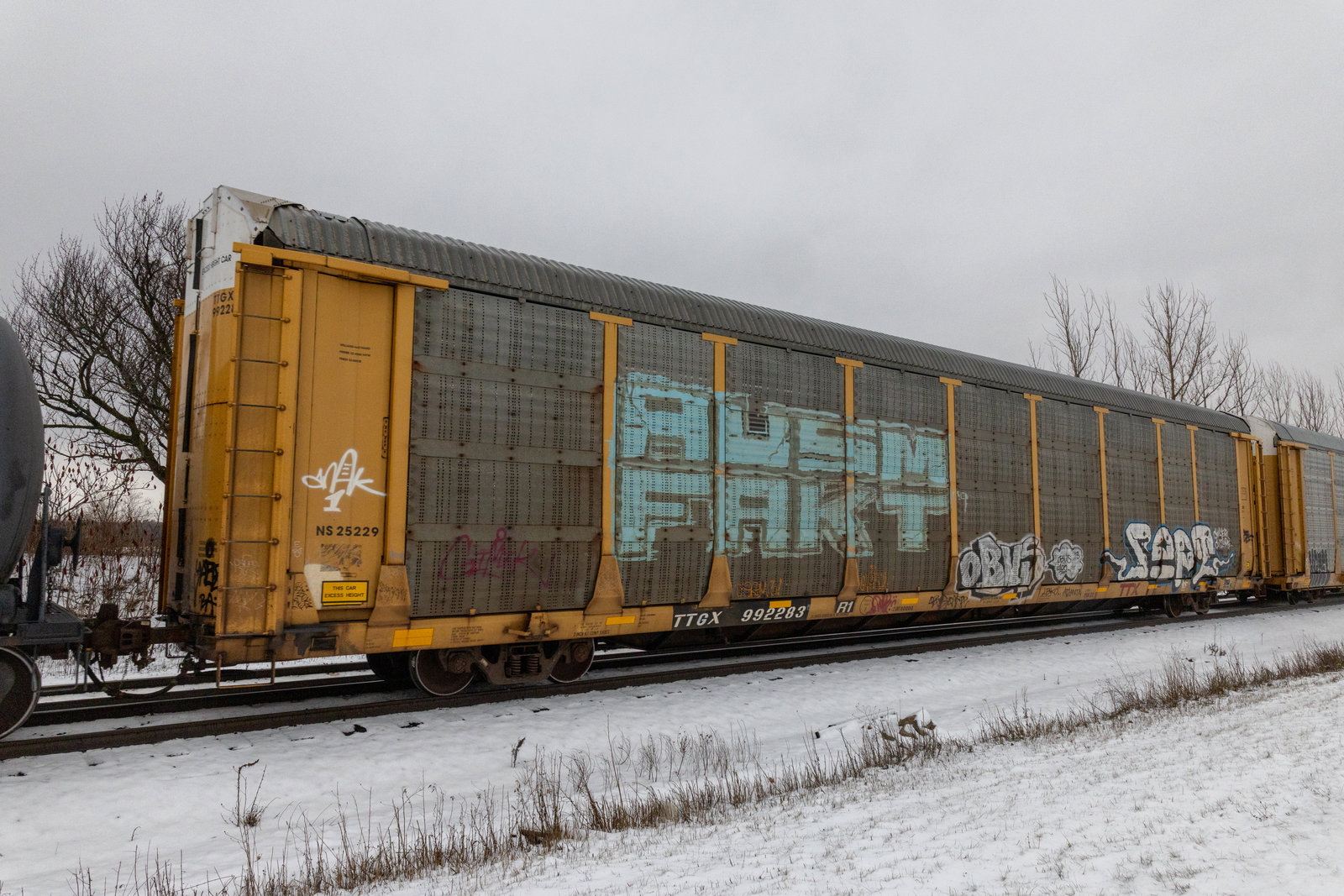 TTGX 992283