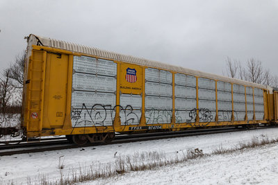 TTGX 974704
