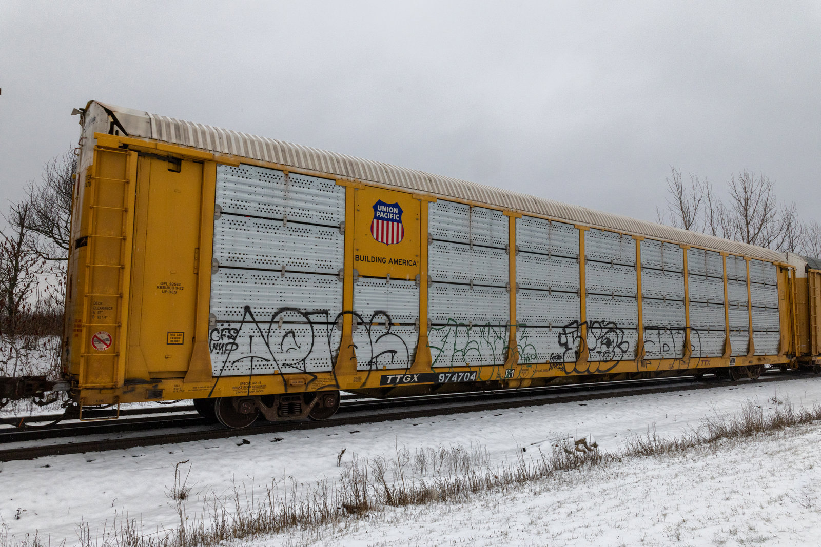 TTGX 974704