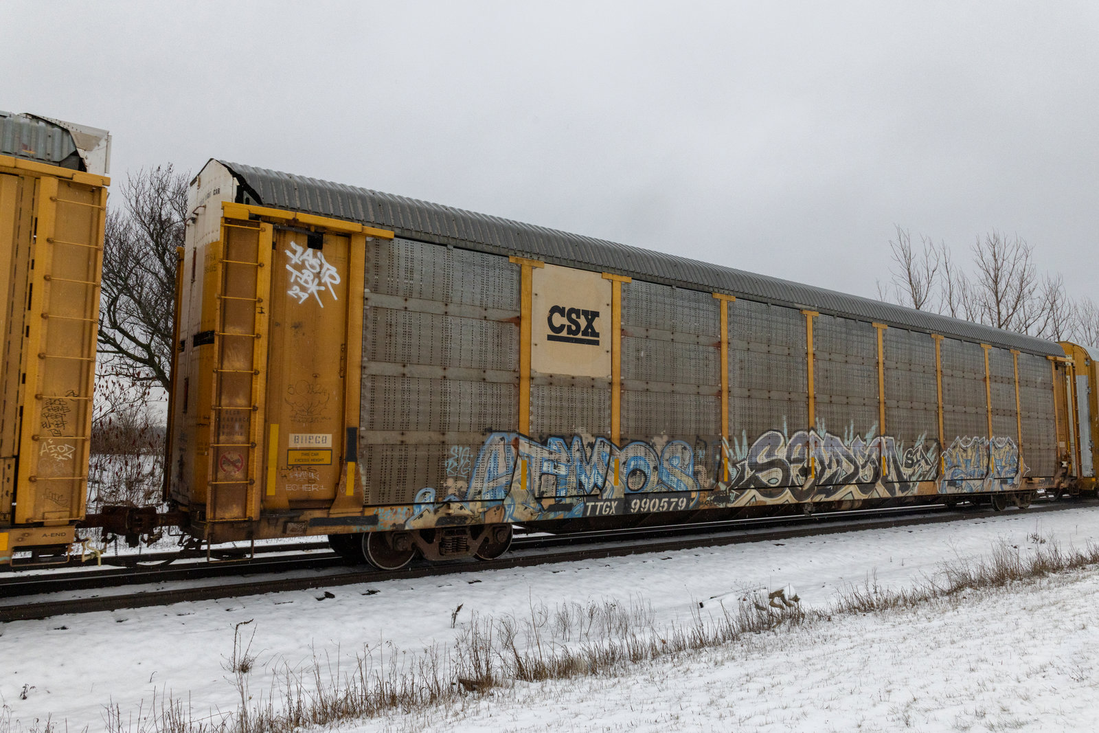TTGX 990579