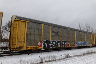 TTGX 985865