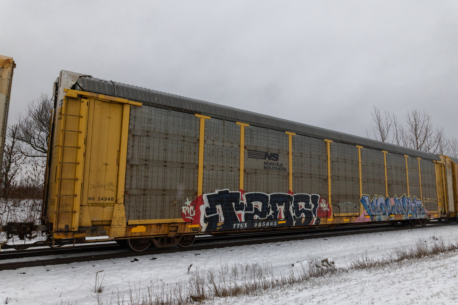 TTGX 985865